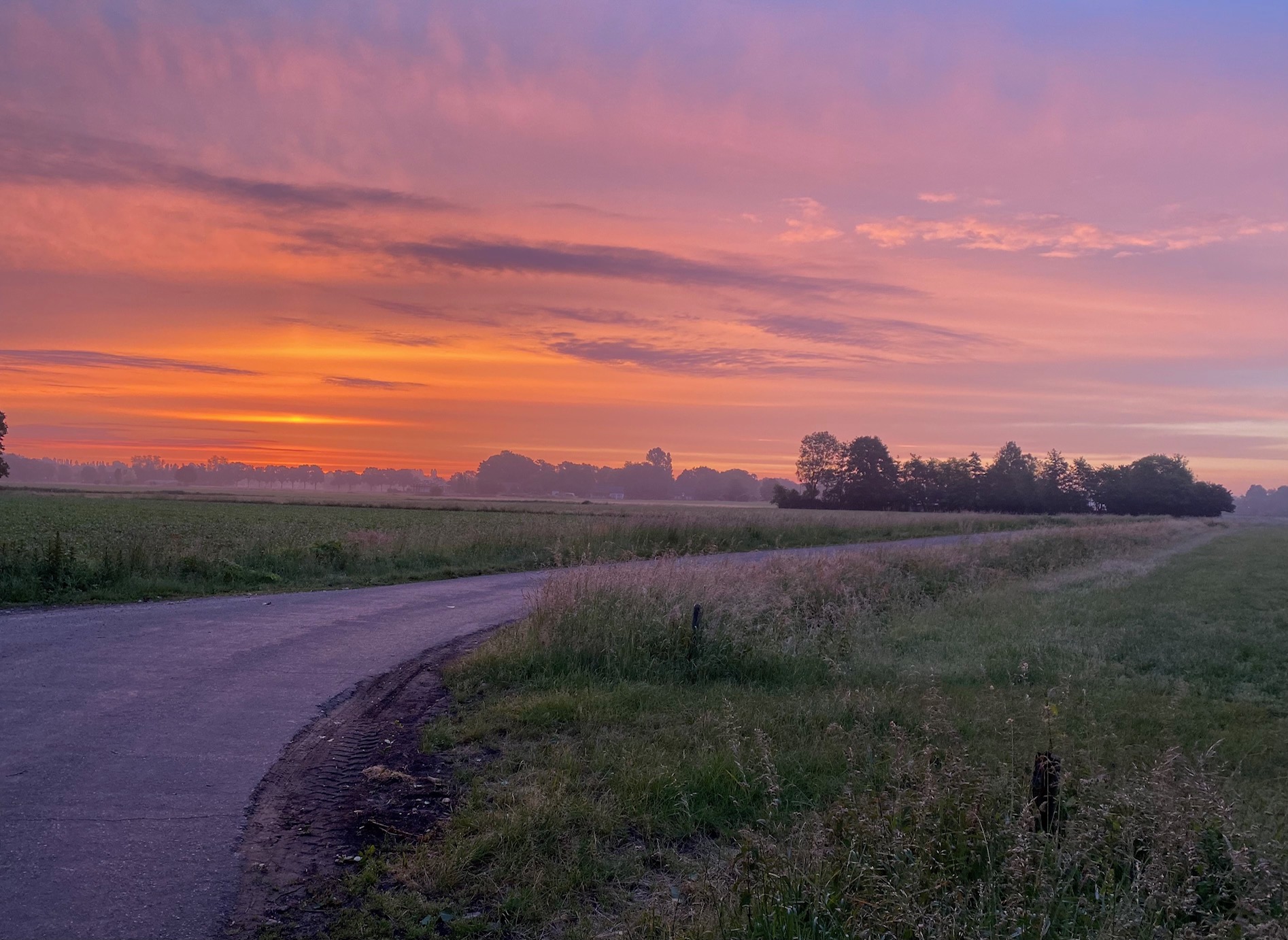 Zen.nl, Zen, meditatie, leren mediteren, foto